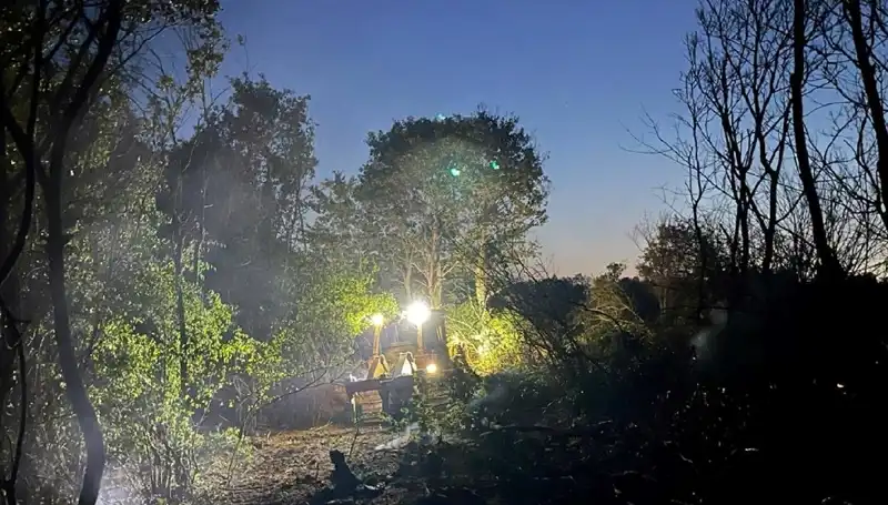 Edirne'deki Orman Yangını: Hayvanlar ve Doğa Kurtarıldı, Bütün Detaylar Burada!