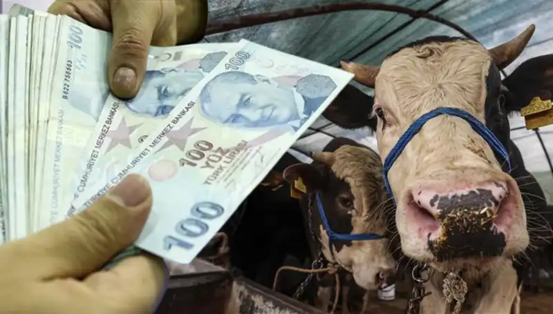 Kurban Bayramı Öncesi Maaş Tarihleri Ne Olacak? İşte Cevaplar!
