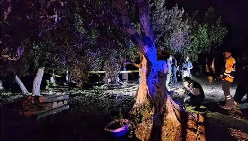 Çiftlikteki Baltalı Vahşet: Bir Tutuklama ile Sona Erdi