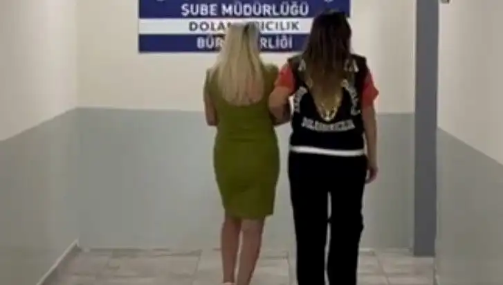 Antalya'da 8,5 Milyonluk Orman Vurgunu: Şok Gelişmeler