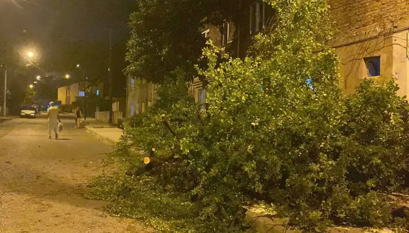 Karabük'te Fırtına: Sonuçları ve Kurtarma Çalışmaları