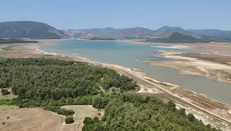 İzmir'de Tehlike Çanları: Geçen Yılın Verilerine Göre Düşüş Şaşkınlık Yarattı