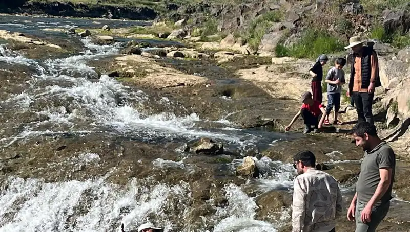 İnci Kefalinin Heyecan Verici Göçü: Doğanın Mucizesi Turistler Tarafından Keşfedildi