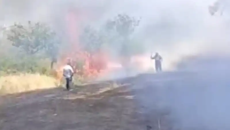 Çay İçin Yakılan Ateş, Fıstık Ağaçlarına Zarar Verdi!