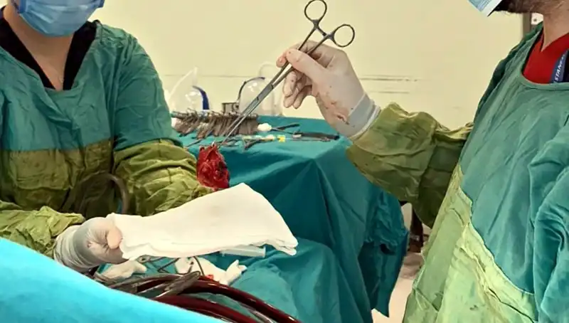 Zorlu Kalp Ameliyatı: Doktorlar "Mucize" Olarak Nitelendiriyor