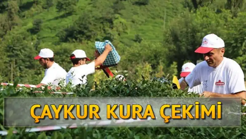 Çaykur Canlı Kura Sayfası: Kura İsimleri Nasıl Öğrenilir?